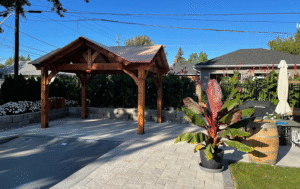 Bright contemporary interior with natural tones and soft sunlight illuminating minimalist furniture.